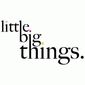 Little Big Things