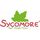 Sycomore