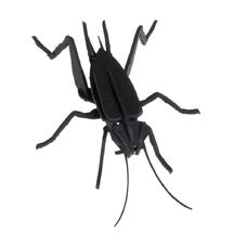 Modello 3D in carta Cricket FRI-11603 Fridolin 1