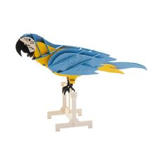 Modello 3D in carta Pappagallo FRI-11677 Fridolin 1