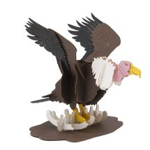 Modello 3D in carta Avvoltoio FRI-11741 Fridolin 1