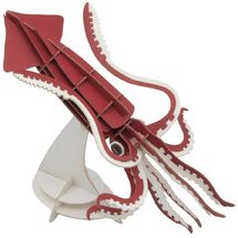 Modello 3D in carta calamaro FR-11743 Fridolin 1
