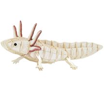 Modello 3D in carta Axolotl FR-11755 Fridolin 1