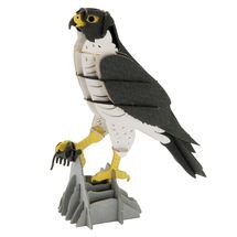 Modello 3D in carta falco FRI-11766 Fridolin 1