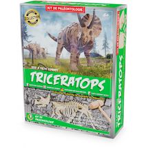 Kit Paleo - Triceratopo UL2821 Ulysse 1
