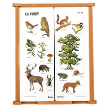 Lavagna in legno La Foresta JJ4671 Jeujura 1