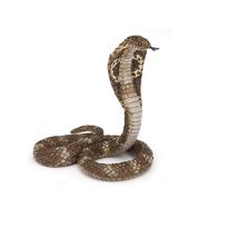 Figurina del serpente King Cobra PA50164-3928 Papo 1
