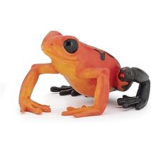 Figurina di rana equatoriale rossa PA50193 Papo 1