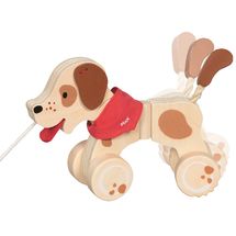 Cane Max da trainare GK54854 Goki 1