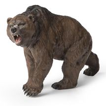 Figurina dell'orso delle caverne PA55066 Papo 1
