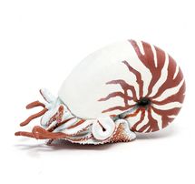 Figurina del Nautilo PA-56061 Papo 1