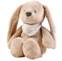 Luce Notturna Peluche Coniglio Sleepy - beige NA876582 Nattou 1