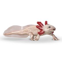 Statuetta di Axolotl PA-56066 Papo 1