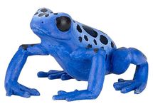 Figurina di rana equatoriale blu PA50175 Papo 1