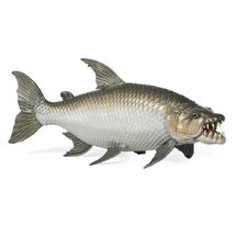 Statuetta di pesce tigre Golia PA-56065 Papo 1