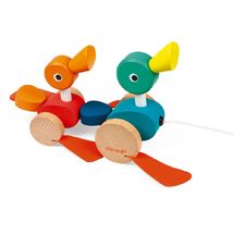 Famiglia di anatre a piedi J08211-5287 Janod 1
