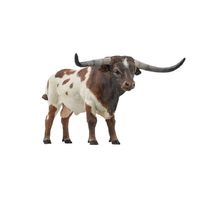 Figurina Toro Longhorn PA-51156 Papo 1