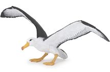 Figurina di albatro PA56038 Papo 1