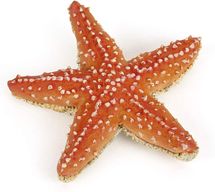 Figurina di stella marina PA-56050 Papo 1