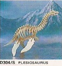 Plesiosauro J0876-2574 Bones & More 1