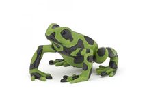 Figurina di rana equatoriale verde PA50176-5291 Papo 1