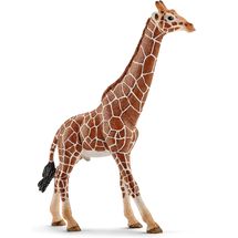 Statuetta di giraffa maschio SC-14749 Schleich 1