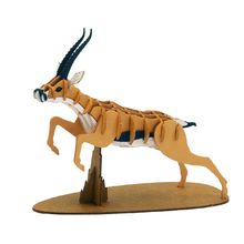 Modello 3D in carta gazzella FRI-11769 Fridolin 1