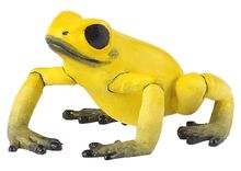 Figurina di rana equatoriale gialla PA50174 Papo 1