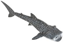 Figurina di squalo balena PA56039 Papo 1