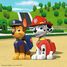 Puzzle Cani della Paw Patrol 3x49 pcs RAV-09239 Ravensburger 2