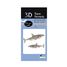 Modello 3D in carta squalo FR-11633 Fridolin 3