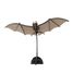 Modello 3D in carta pipistrello FR-11673 Fridolin 1