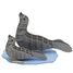 Modello 3D in carta foche FR-11748 Fridolin 1