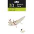 Modello 3D in carta Axolotl FR-11755 Fridolin 2