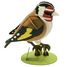 Modello 3D in carta cardellino FRI-11765 Fridolin 1