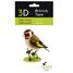 Modello 3D in carta cardellino FRI-11765 Fridolin 3