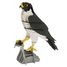 Modello 3D in carta falco FRI-11766 Fridolin 1