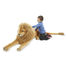 Leone gigante di peluche MD12102 Melissa & Doug 2