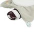 Doudou Gaston il procione K205001 Kaloo 7