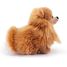Peluche cane Pomerania 22 cm TRU-22347 Trudi 2