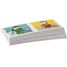 Domino T'choupi RA-24311 Small foot company 6