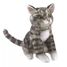 Burattino da dito Gatto tigrato FO-2791 Folkmanis 1