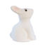 Salvadanaio coniglio bianco EG314705 Egmont Toys 2