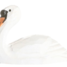 Figurina cigno in legno WU-41006 Wudimals 1