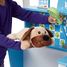 Centro veterinario e salone di toelettatura MD41700 Melissa & Doug 5