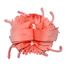 Peluche mamma medusa e il suo bambino corallo DE75901 Les Déglingos 3