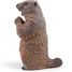 Figurina di marmotta PA50128-2927 Papo 5