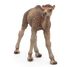 Figurina di cammello bambino PA50166-5276 Papo 3