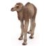 Figurina di cammello bambino PA50166-5276 Papo 2