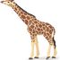Statuetta di giraffa con testa sollevata PA50236 Papo 1